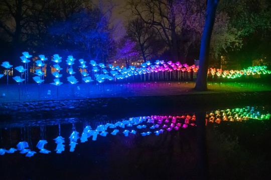 large scale lighting installation wonderful beautiful light art origami butteries flowers
•	#Interactive #Installation, #PublicArt, #LightArt, #Light , #interaction, #design, #Lumiere, #Festival, #ArtePubblica #Public #Art, #LightFestival, #Art #Festival, #Luce, #Arte, #Installazione #Interattiva, 
 #光アートインスタレーション
#パブリックアート
#ライトフェスティバル
#対話型インストール
#installation d'art lumière
#Art public
#festival de la lumière
#installation interactive
#光技术安装
#公共艺术
#灯光节
#交互式安装
تركيب فن الضوءالفن العاممهرجان ضوءتركيب التفاعلية
#Lichtkunstinstallations 
#Kunst im öffentlichen Raum
#Licht-Festival
#interaktive Installation
#instalación de arte de la luz
#Arte público
#Festival de la luz
#instalación interactiva
