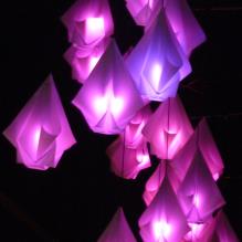 Coloured Origami