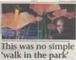 Enchanted Park 2008 icon